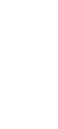 Statesman Projects